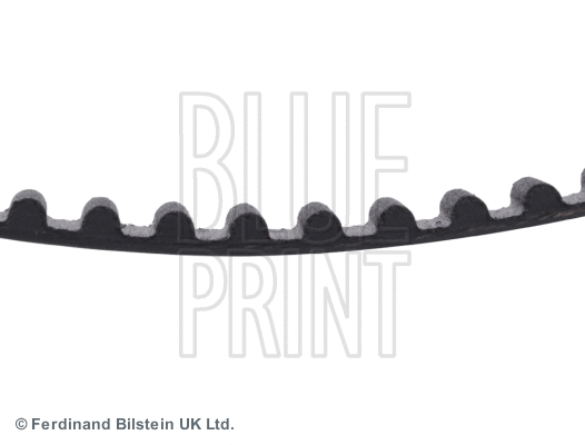 Timing Belt
