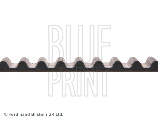 Timing Belt