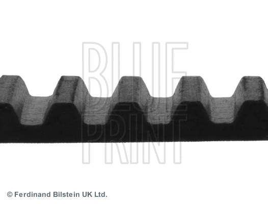 Timing Belt