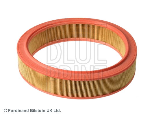 Air Filter (ADV182261)