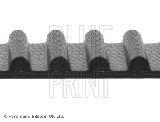 Timing Belt