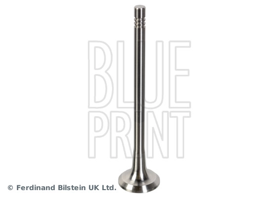 Exhaust Valve (ADBP610134)