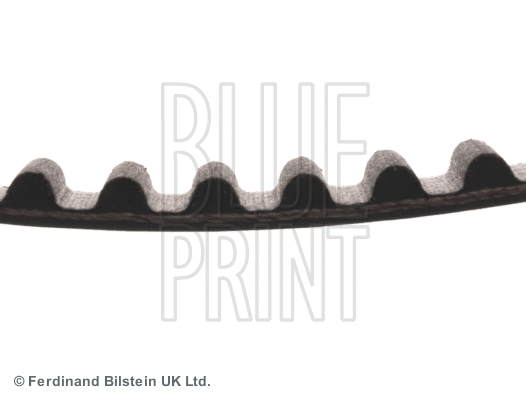 Timing Belt