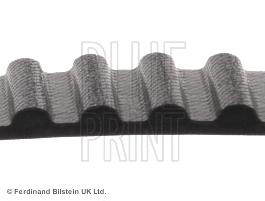Timing Belt