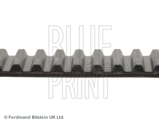 Timing Belt