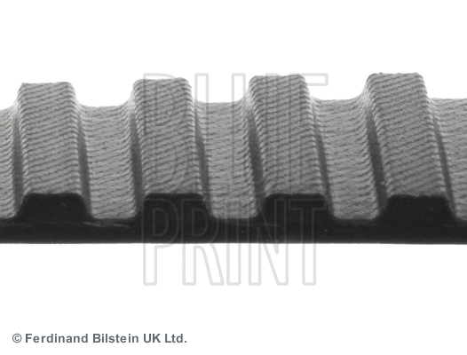 Timing Belt
