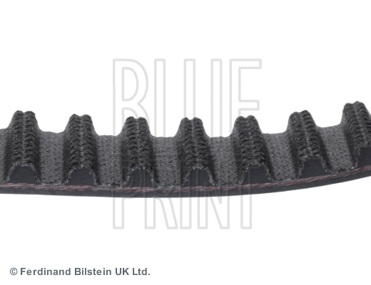 Timing Belt
