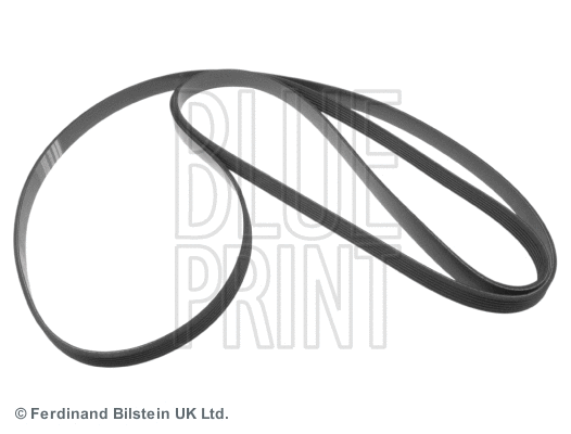 V-Ribbed Belt (ADA109601)