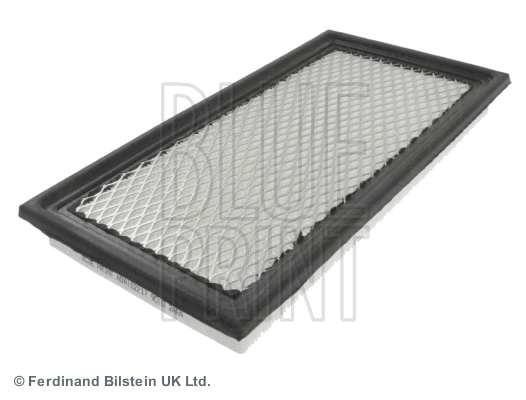 Air Filter (ADA102217)