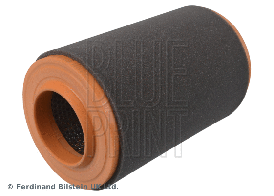 Air Filter (ADP152233)