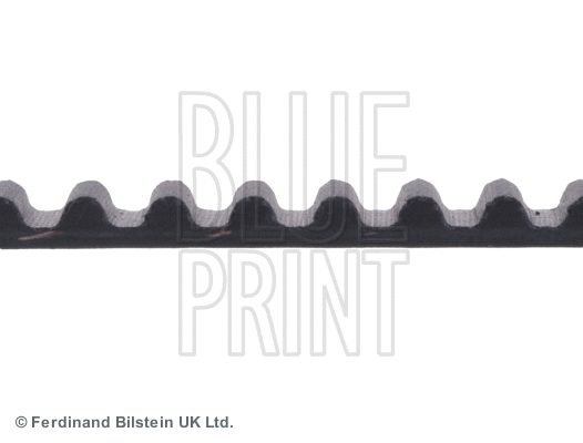 Timing Belt