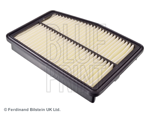 Air Filter (ADG022147)