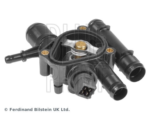 Thermostat, coolant