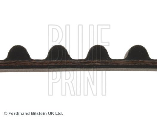 Timing Belt