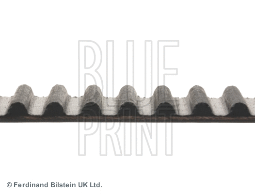 Timing Belt