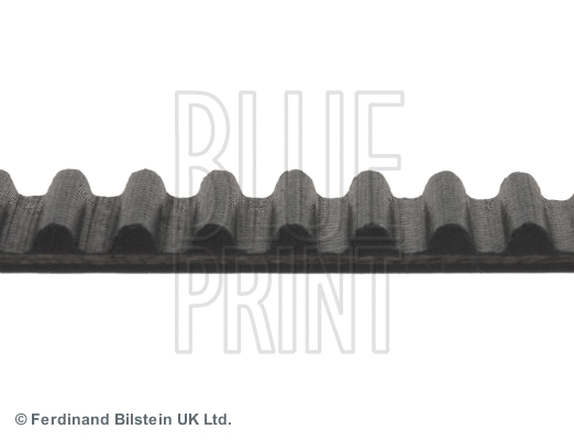 Timing Belt