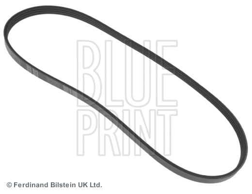 V-Ribbed Belt (ADC49609)