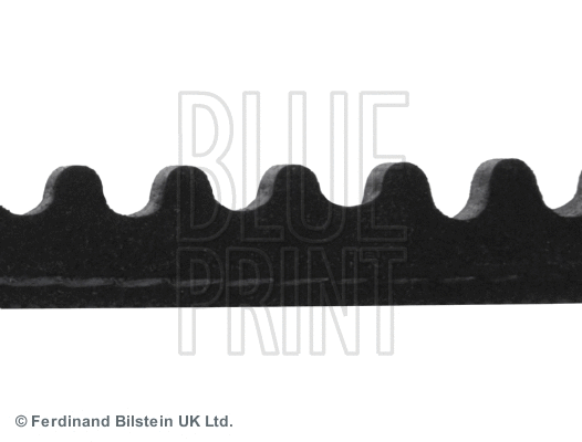 V-Belt