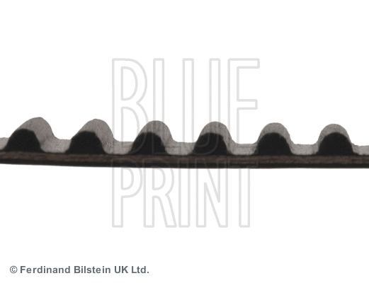 Timing Belt