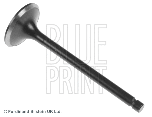 Intake Valve (ADU176102)