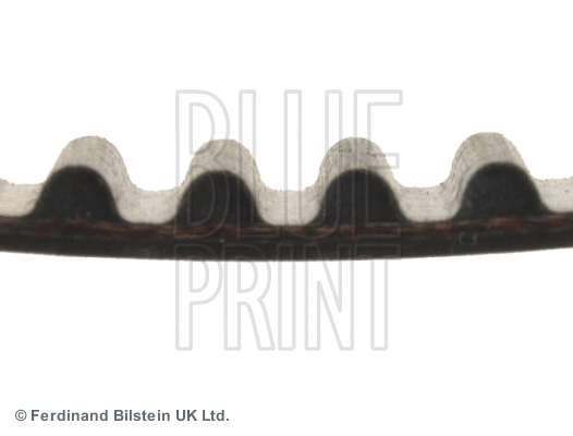 Timing Belt