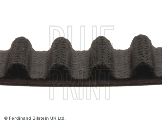 Timing Belt