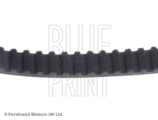 Timing Belt