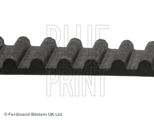 Timing Belt