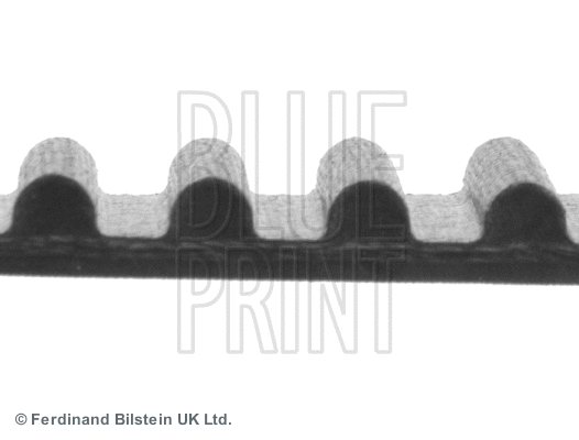 Timing Belt