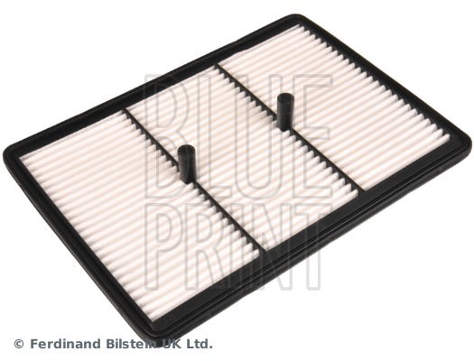 Air Filter (ADBP220060)