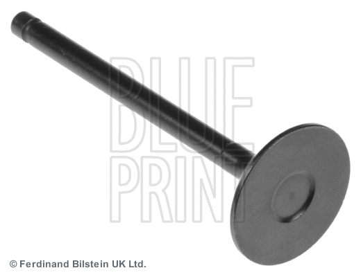 Intake Valve