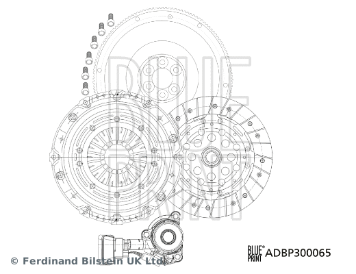 Clutch Kit (ADBP300065)