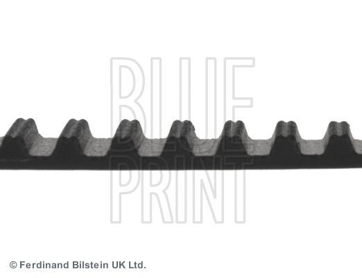 Timing Belt