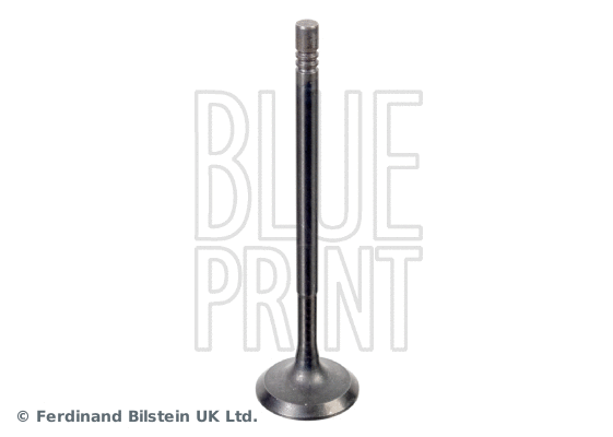 Intake Valve (ADBP610041)