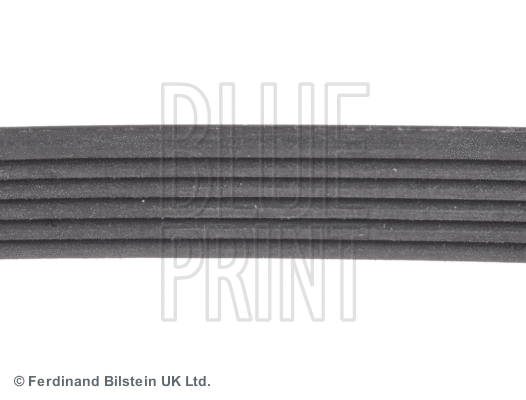 V-Ribbed Belt