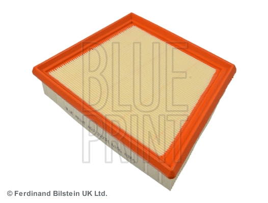 Air Filter (ADJ132233)