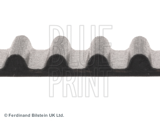Timing Belt