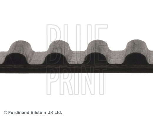 Timing Belt