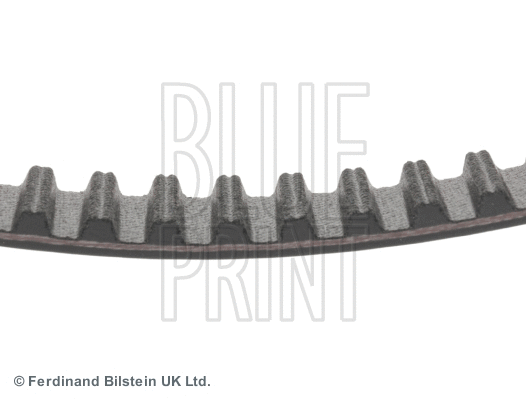 Timing Belt