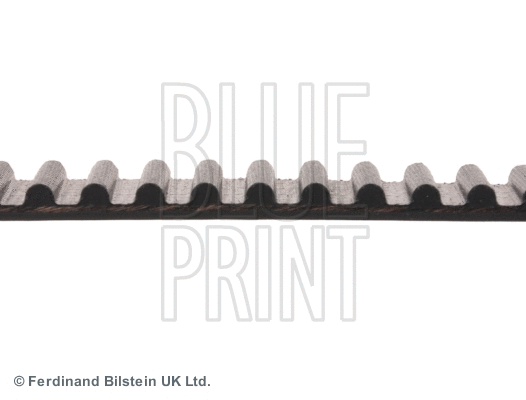 Timing Belt