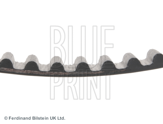 Timing Belt