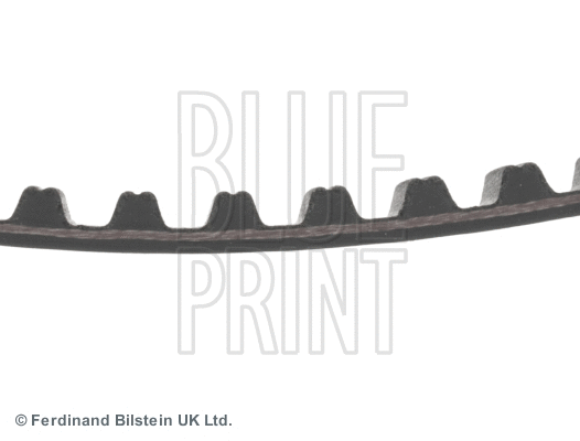 Timing Belt