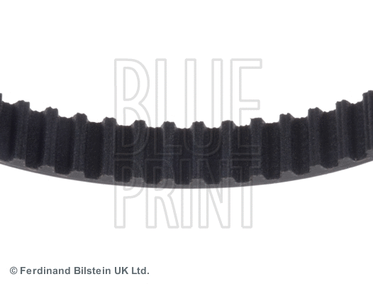 Timing Belt