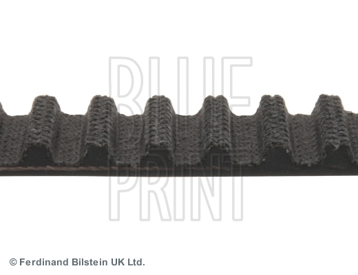 Timing Belt