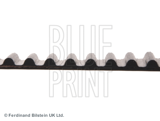 Timing Belt