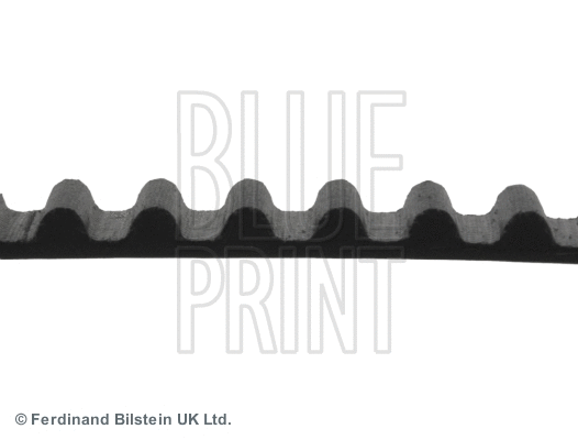 Timing Belt