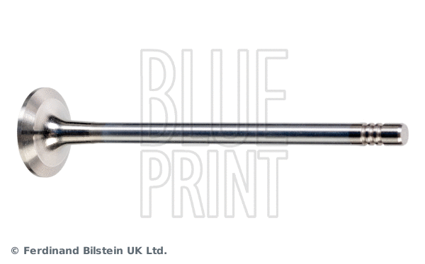 Exhaust Valve (ADBP610040)