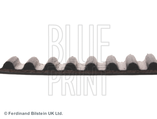 Timing Belt