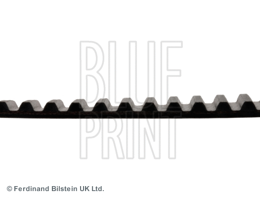 Timing Belt
