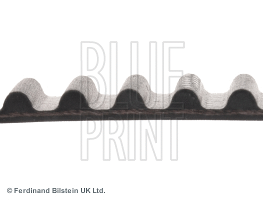 Timing Belt